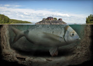 Photographer turns everyday images into works of art, Sweden - 2009