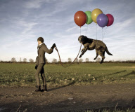 Photographer turns everyday images into works of art, Sweden - 2009