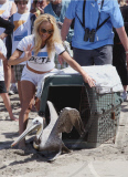 Pamela Anderson Takes To The Beach To Support PETA!