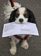 Polling Day for the 2010 General Election, Britain - 06 May 2010