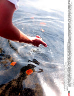 NEW ORLEANS: GULF OF MEXICO BP OIL SPILL DISASTER