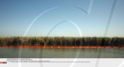 NEW ORLEANS: GULF OF MEXICO BP OIL SPILL DISASTER