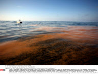 NEW ORLEANS: GULF OF MEXICO BP OIL SPILL DISASTER
