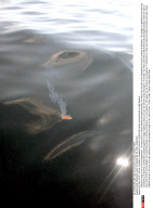 NEW ORLEANS: GULF OF MEXICO BP OIL SPILL DISASTER