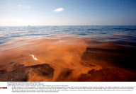 NEW ORLEANS: GULF OF MEXICO BP OIL SPILL DISASTER