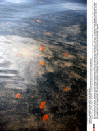 LA: NASCAR'S LEILANI MUNTER TOURS BP OIL SPILL