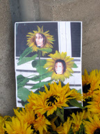 Hundreds of sunflowers gracing Michael Jackson's resting place at Forest Lawn