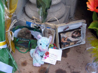 Hundreds of sunflowers gracing Michael Jackson's resting place at Forest Lawn