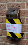 Blue tits cause litter argument after setting up home in a wall-mounted ashtray, Norwich, Norfolk, Britain - 13 May 2010