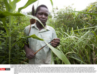 SUDAN: ARROW BOYS SELF DEFENSE TEAMS FIGHT LRA