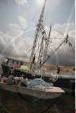 LA : FROM BARATARIA BAY TO GRAND ISLE
