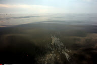 LA : FROM BARATARIA BAY TO GRAND ISLE