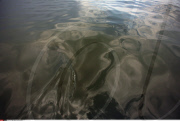 LA : FROM BARATARIA BAY TO GRAND ISLE
