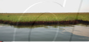 LA : FROM BARATARIA BAY TO GRAND ISLE