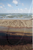 LA: OIL WASHES ASHORE ON GRAND ISLE, LOUISIANA