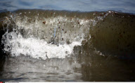 LA: OIL WASHES ASHORE ON GRAND ISLE, LOUISIANA