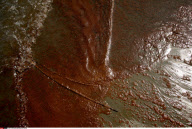 LA: OIL WASHES ASHORE ON GRAND ISLE, LOUISIANA