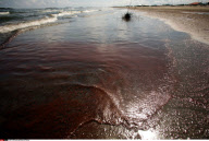 LA: OIL WASHES ASHORE ON GRAND ISLE, LOUISIANA