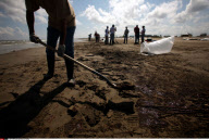 LA: OIL WASHES ASHORE ON GRAND ISLE, LOUISIANA