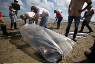 LA: OIL WASHES ASHORE ON GRAND ISLE, LOUISIANA