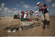 LA: OIL WASHES ASHORE ON GRAND ISLE, LOUISIANA