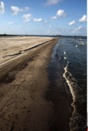 LA: OIL WASHES ASHORE ON GRAND ISLE, LOUISIANA