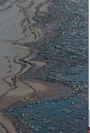 LA: OIL WASHES ASHORE ON GRAND ISLE, LOUISIANA