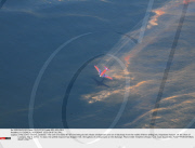 LA: CHEMICAL DISPERSANT USED ON BP OIL SPILL