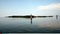 LA : FROM BARATARIA BAY TO GRAND ISLE