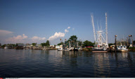LA : FROM BARATARIA BAY TO GRAND ISLE
