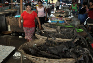(2)NICARAGUA-FOOD CULTURE-LIZARDS