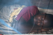 UGANDA : MALARIA PREVENTION