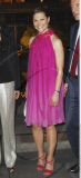 Crown Princess VICTORIA of Sweden attending a reception in the 'Museum of Modern Art' while in Rio de Janeiro