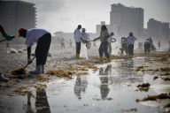 (3)U.S.-GULF OF MEXICO-OIL SPILL