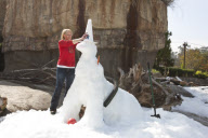 Polar Bear Plunge Snow Bear Building contest, San Diego Zoo, America - 05 Jun 2010