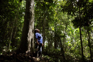IN PERU, THE FOREST IS LIFE ITSELF.