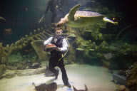 Underwater birthday celebration for Boris the Green Turtle, Sea Life London Aquarium, London, Britain - 17 Jun 2010