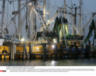 LA: FISHING INDUSTRY DURING BP OIL SPILL DISASTER