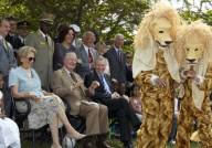 king albert congo visit