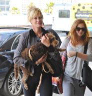 Melanie Griffith Flies Out with Daughter and Dog