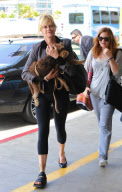 Melanie Griffith Flies Out with Daughter and Dog