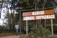 Kenya - 2010