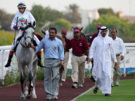Purebred Arabian Horse Race at the Abu Dhabi Equestrian Club, Abu Dhabi, UAE - 22 Nov 2009