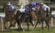 Purebred Arabian Horse Race at the Abu Dhabi Equestrian Club, Abu Dhabi, UAE - 22 Nov 2009