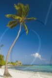 Dominican Republic - 2010