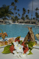 Dominican Republic - 2010
