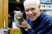 Fox cub rescued after getting head stuck in a watering can, Leatherhead, Surrey, Britain - 6 May 2010