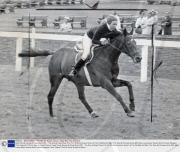 Royal Family Racing At Royal Ascot1972... The Annual Royal Race Prior To The More Serious Event Up The Old Mile And Won This Year By Princess Anne With Miss Louise Astor Second And Princess Margaret Third. Special Thrill For Early Arrivals At Ascot.