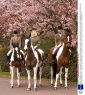 ZARA PHILLIPS, QUEEN ELIZABETH II AND PRINCESS ANNE RIDING AT WINDSOR CASTLE OVER EASTER, BERKSHIRE, BRITAIN - APR 2004