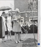 Princess Anne (now Princess Royal). 1970. Picture Shows Princess Anne Planting A Tree At Her Old School Benenden In Kent. She Returned To Her Old School To Open A New Building Containing Facilities For Sixth Form Students.